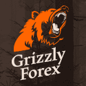 Grizzly Forex LTD screenshot