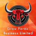 Grow Forex Business screenshot