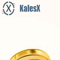 Kalesx screenshot
