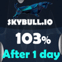 Skybull screenshot