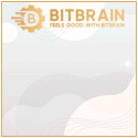 Bitbrain screenshot